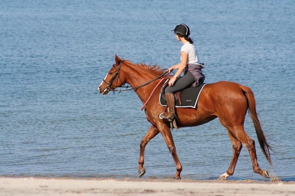 Ferienpark Wulfenerhals Daire Wulfen auf Fehmarn Dış mekan fotoğraf